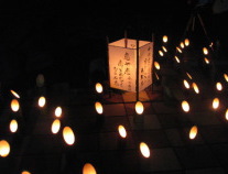 �s���E�h���LED�d�q���E�\�N�@LDF�ȃG�l�d��